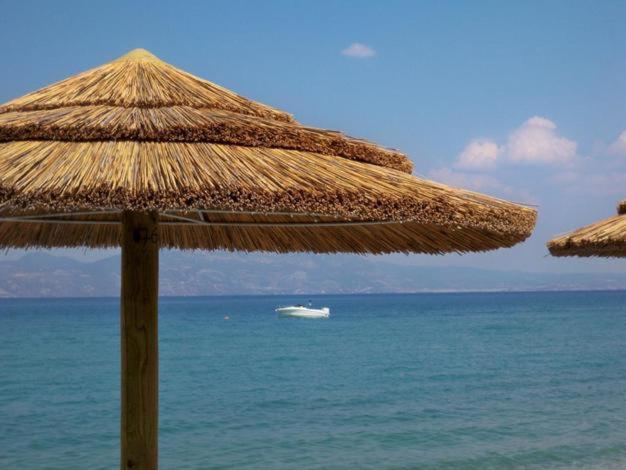מלון Kokkónion Marzi Beach And Bungalows מראה חיצוני תמונה