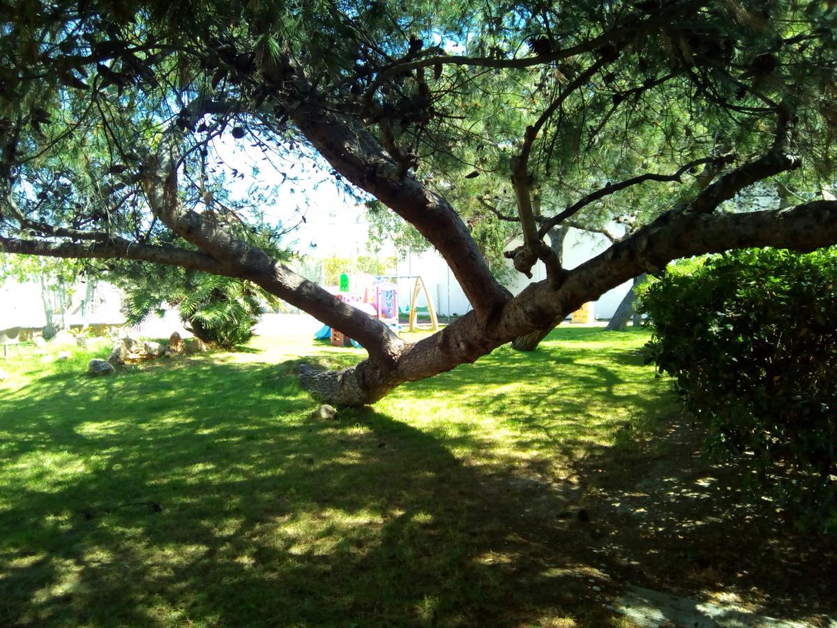 מלון Kokkónion Marzi Beach And Bungalows מראה חיצוני תמונה